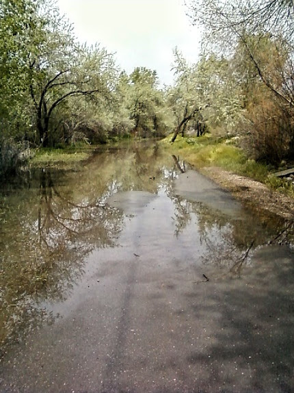 Flooded Path - Fairstone Apts -  5.20.2011 - Edited